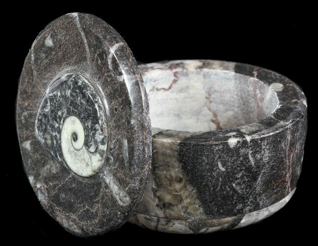 Small Fossil Goniatite Jar (Black) - Stoneware #48725